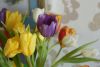 56e582c4b8323_1.thumb.JPG.cb1da3d0cc3129