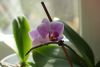 56e582c52d5bc_3.thumb.JPG.eceec4f4f05d01