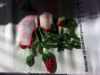 56e5cd72c1fa4_20160312_1512031.thumb.jpg