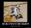56e68104dd325_.thumb.png.5fc0439469caa96