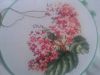 56ebbe10970e7_20160318_1131111.thumb.jpg