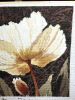 56ec49e6e6a59___41_2005_16.thumb.JPG.eb3