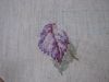 56ed7ce8074a4_1160.thumb.JPG.a880c54aeb2