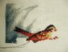 56ee482c911f8_image.thumb.jpg.5cd5ca4bb7