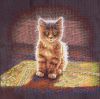 56eed44760caa_.thumb.jpg.ad2cdb5194f1b94