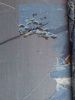 56ef53b86d4ef_.thumb.JPG.8140a45aa5cea9c