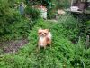 56f78abb3c6a2_057.thumb.jpg.93d4a5a864c8