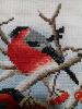 56f7fe1b3a221_2016-03-2521-52-48.thumb.J