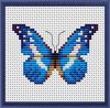 56fb77dd96206_6-Blue20Moth_big.thumb.jpg