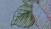 6.thumb.JPG.4b24be65a4b74d37ccade0cd870f