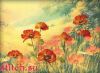 6480.thumb.jpg.9669d3dcec748671f9a6cbe13