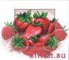 7528.thumb.jpg.4a48931054e2afc0f2532ddfc
