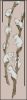 824.thumb.jpg.5cb208fc97ab6de6bc8472a71a