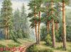 Золотое Руно ВМ-003, Сосновый бор