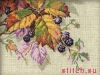 9343.thumb.jpg.921ed76b5475afebab520b6cc