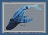 ADlzqWkUq7g.thumb.jpg.06676c9ab0cc5524bd