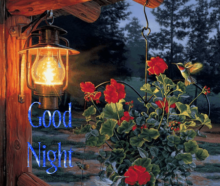Charming-good-night.gif