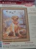 DSC00432.thumb.JPG.e353c79b53976fbc88ae4
