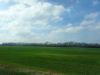 DSC01291.thumb.JPG.548c666c8bee1a1bef6a3
