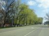 DSC01294.thumb.JPG.b8597576d69568aec1462