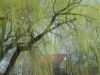 DSC01295.thumb.JPG.9409abc60c27c0502894f