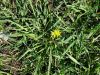 DSC01305.thumb.JPG.59d3260a5b6cc70b904ca