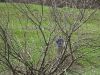 DSC01309.thumb.JPG.fbd0dfc8d54512d1668bd