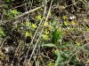 DSC01318.thumb.JPG.21fe097073f614b6ac0b1
