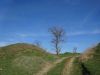 DSC01319.thumb.JPG.c1468e417a295b196af69