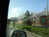 DSC01333.thumb.JPG.f552ef9e77ecd90b1d291