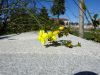 DSC01370.thumb.JPG.e29668a01369059857293