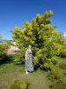 DSC01374.thumb.JPG.3a1ca8d207fd84b22a587