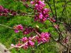 DSC01402.thumb.JPG.d41a638027244a00e1a2b