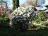 DSC01411.thumb.JPG.e5a52701256fa033e283c