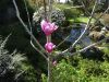 DSC01412.thumb.JPG.eaf16c113f9efa0e5e6ec