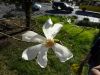 DSC01416.thumb.JPG.814d3ad5dc3be682bb142