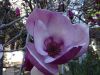 DSC01419.thumb.JPG.57108efd527577a0e18a0