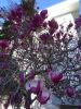 DSC01420.thumb.JPG.538c2f51a792c5618f84b