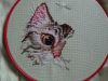 DSC01456.thumb.JPG.66235ef6ee58538c6cd44