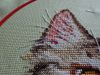 DSC01457.thumb.JPG.b151f0dc0cb2f6846de3e