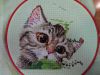 DSC01460.JPG.6142269fccbb5a31558e5f4ff97