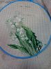 DSC01462.thumb.JPG.5b2cac200c943e6c947f3