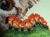 DSC01464.thumb.JPG.068ef9d2a6a7115da6ec2