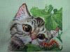 DSC01467.thumb.JPG.351fabdcad716fdc3a503