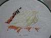 DSC01581.thumb.JPG.9fc832e9c70c3c634e445