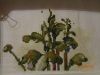 DSC02679.thumb.JPG.b5d4434cea907dd4e4d28