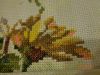 DSC02699.thumb.JPG.5c8cf2bfe55f9b39c1838