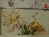 DSC02700.thumb.JPG.de687d9861f25176a8744