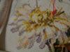 DSC02709.thumb.JPG.bebe32f128fef9e4fbcb3