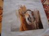 DSC03115.thumb.JPG.31777deec89dda94ae2e7